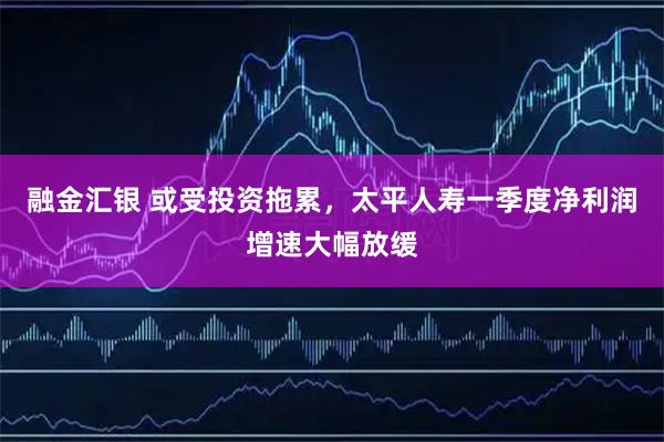 融金汇银 或受投资拖累，太平人寿一季度净利润增速大幅放缓